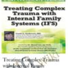 Treating Complex Trauma with Internal Family Systems (IFS) - Frank Anderson