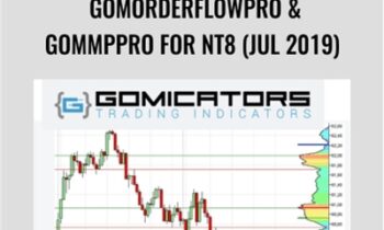 GomOrderFlowPro & GomMPPro for NT8 (Jul 2019) – Gomicators