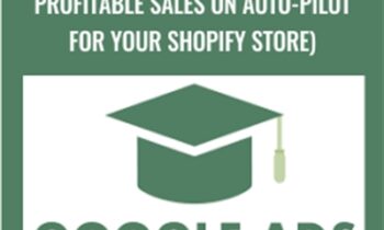 Google Ads eCom Academy (Generate Profitable Sales on Auto-pilot For Your Shopify Store)