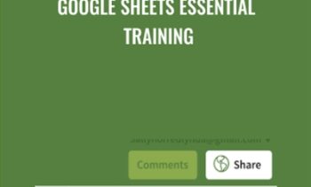 Google Sheets Essential Training - Sally Norred