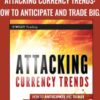 Attacking Currency Trends: How to Anticipate and Trade Big Moves in the Forex Market - Greg Michalowski