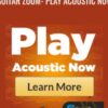 Guitar Zoom- Play Acoustic Now - Steve Stine