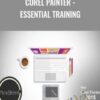 Corel Painter - Essential Training - Gurasis Anand