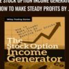 The Stock Option Income Generator: How To Make Steady Profits by Renting Your Stocks - Harvey C. Friedentag