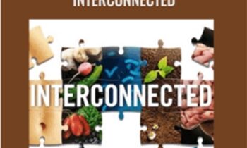 Heal From Within - Interconnected - Pedram Shojai