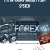 The Intraday Market Flow System - Hector DeVille