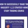 How To Successfully Trade The Haggerty 1,2,3 Strategy Home Study Trading Course - Kevin Haggerty