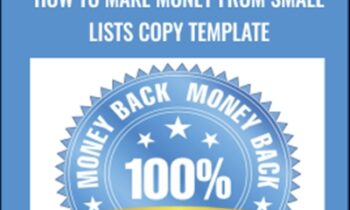 How to Make Money from Small Lists Copy Template - Dan Doberman