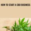 How to Start a CBD Business