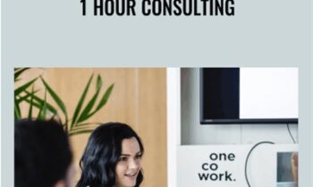 1 Hour Consulting – IMQueen