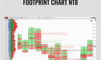 Footprint Chart NT8 – Indicatormall