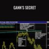 Gann's Secret - Jeanne Long