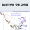 Elliott Wave Forex Course - Jody Samuels