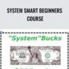 System Smart Beginners Course – Ken McCarthy