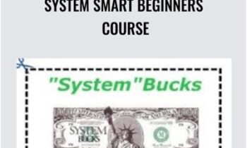 System Smart Beginners Course – Ken McCarthy