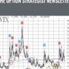 The Option Strategist Newsletter + Hotlines  - L. McMillan
