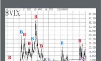 The Option Strategist Newsletter + Hotlines  - L. McMillan