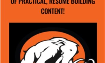 Learn to code today! - 10 hours of practical, resume building content!
