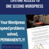Lifetime Access to One Second Wordpress - One Second Wordpress