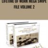 Lifetime Of Work Mega Swipe File Volume 2 - Dan Kennedy