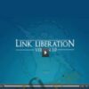 Link Liberation 3 - Dan Thies and Leslie Rohde