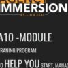 Agency Immersion - Lion Zeal