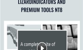 LizardIndicators and Premium Tools NT8 – LizardIndicators