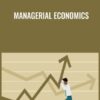 Managerial Economics - Stefan Michel