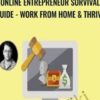 Online Entrepreneur Survival Guide - Work From Home & Thrive - Mark Timberlake