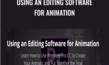 Using an Editing Software for Animation - Mark