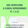 SHEI: Methylation & Clinical Nutrigenomics & Pt. 1 (1/2) - Dr. Ben Lynch