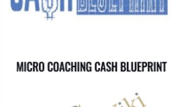 Micro Coaching Cash Blueprint