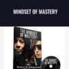 Mindset of Mastery - Arash Dibazar, Vince Kelvin