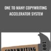 One To Many Copywriting Accelerator System - Dave Dee