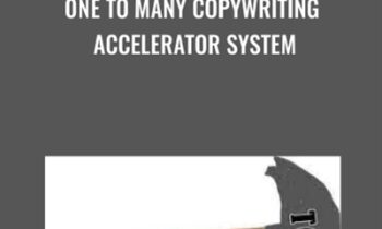 One To Many Copywriting Accelerator System - Dave Dee
