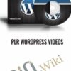 PLR WordPress Videos