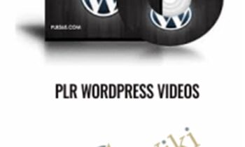 PLR WordPress Videos