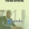 Pentaho Reporting - Packt Publishing