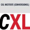 CXL Institute (ConversionXL) – Peep Laja