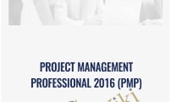 Project Management Professional 2016 (PMP)