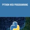Python Web Programming