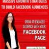 Massive Growth Strategies To Build Facebook Audiences – Rachel Miller