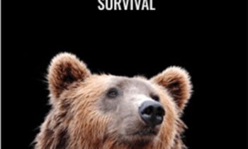 Live Webinar Bear Market Survival – ReadySetCrypto