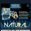 Tim’s Flawless Natural – Real Social Dynamics