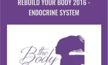 Rebuild Your Body 2016 - Endocrine System