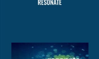 Resonate - Nancy Duarte