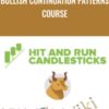 Bullish Continuation Patterns Course - Rick Saddler