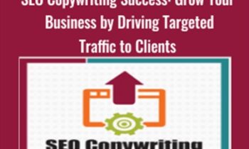 SEO Copywriting Success: Grow Your Business by Driving Targeted Traffic to Clients