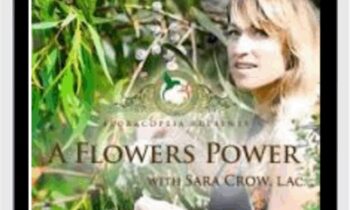 A Flower's Power A Course In Flower Essences - Sara Crow