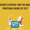 Secrets Exposed: Find The Most Profitable Niches of 2017 - Sandor Kiss